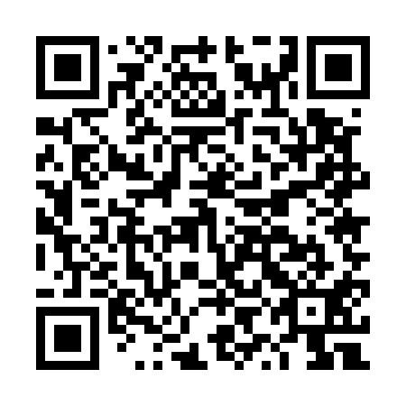 QR code for DYE511