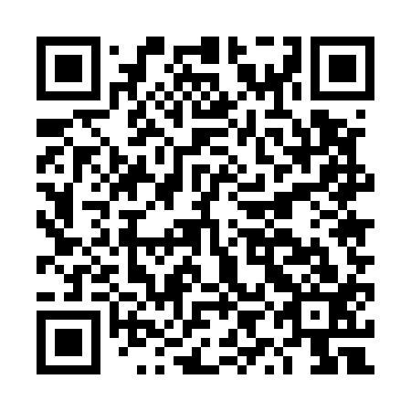 QR code for DYE513