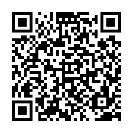 QR code for DYF 736