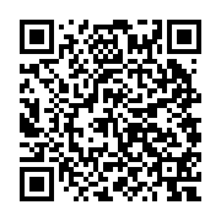 QR code for plate DYF 210