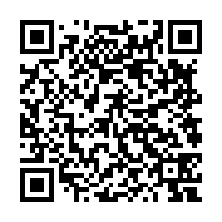 QR code for plate DYF 838