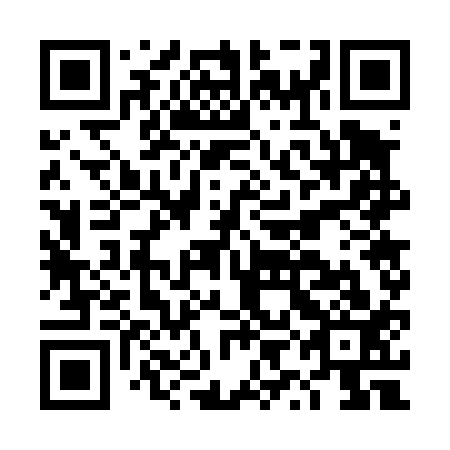 QR code for DYG 413