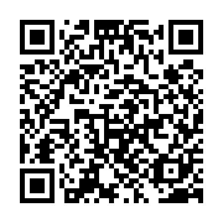 QR code for DYG 501
