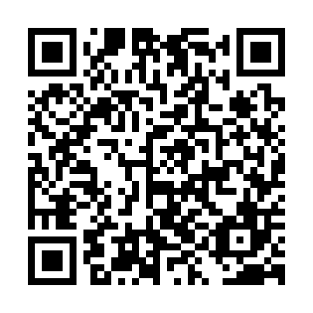 QR code for plate DYG 306