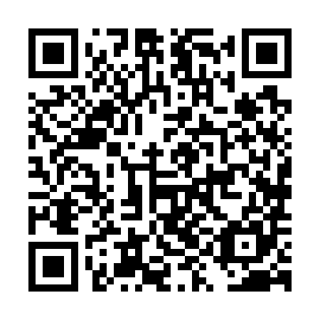 QR code for plate DYH 785