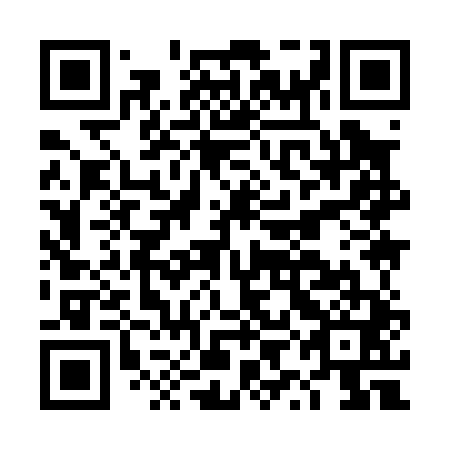 QR code for DYI 041