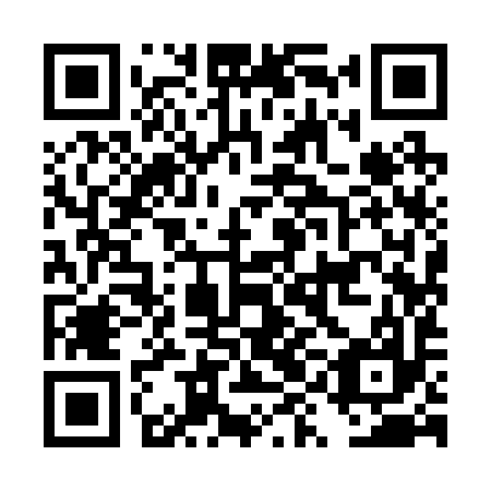 QR code for DYI 297