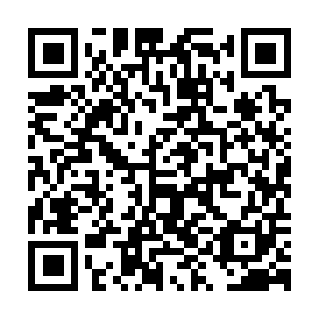 QR code for DYI 301