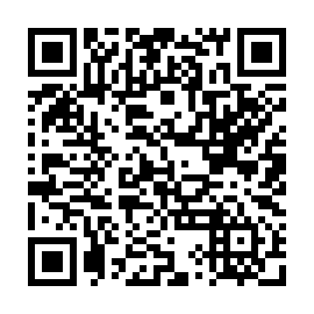 QR code for DYI 394