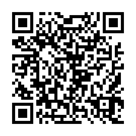 QR code for DYI 442