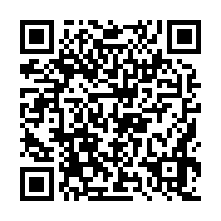QR code for DYI 876