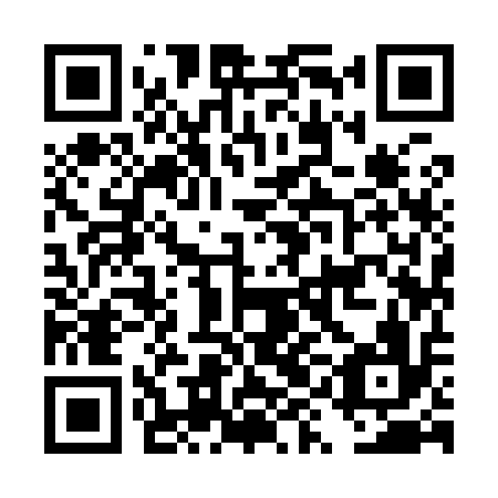 QR code for DYI 916