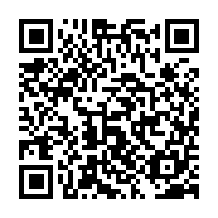 QR code for DYI 955