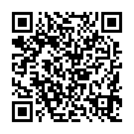QR code for plate DYI 291