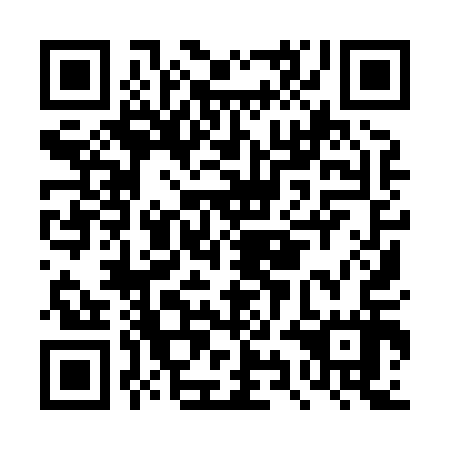 QR code for plate DYI 817
