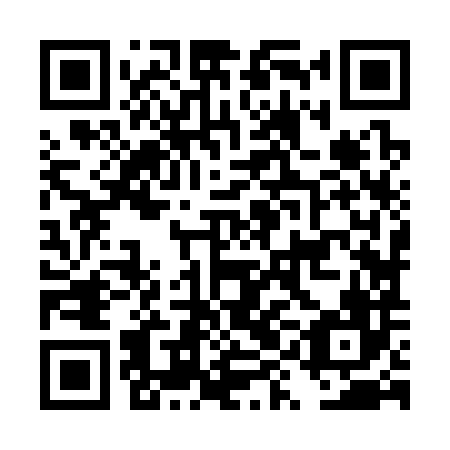 QR code for DYJ 386