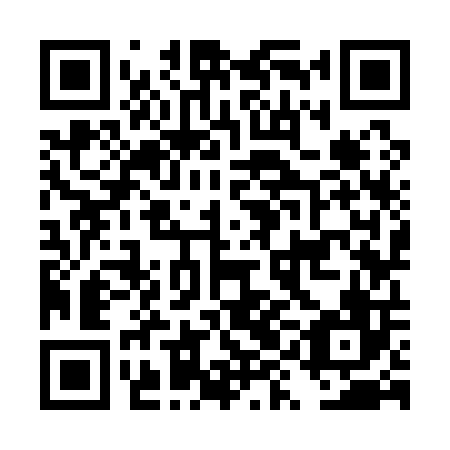 QR code for plate DYK 106