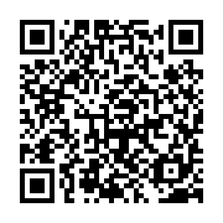 QR code for plate DYK 295