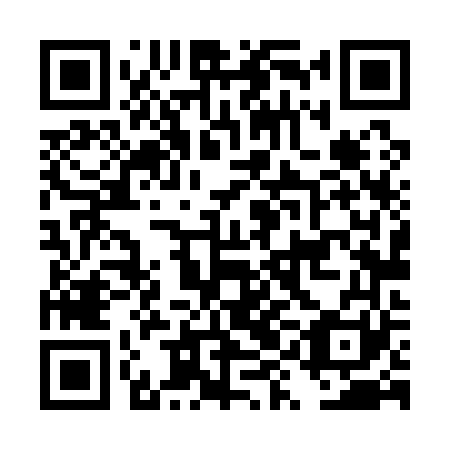 QR code for DYL 161