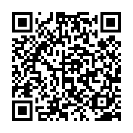 QR code for plate DYL 461