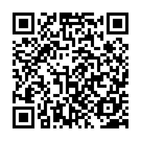QR code for DYN 155
