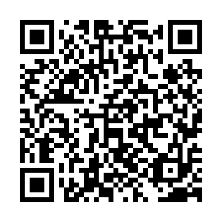 QR code for DYN 213