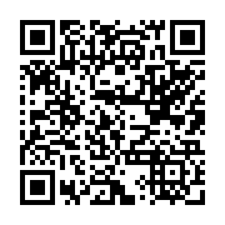 QR code for DYN 223