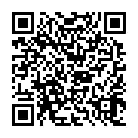 QR code for DYN 318