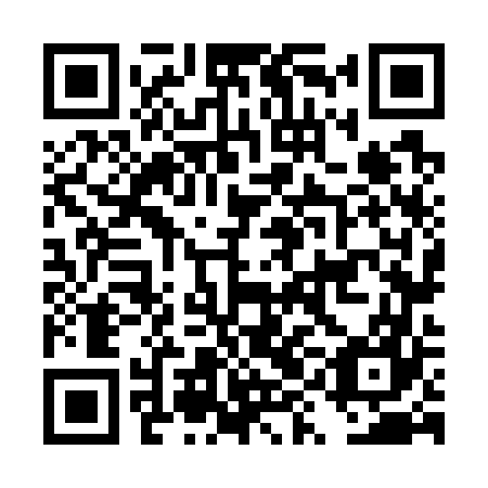 QR code for DYN 767