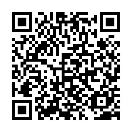 QR code for DYN 805