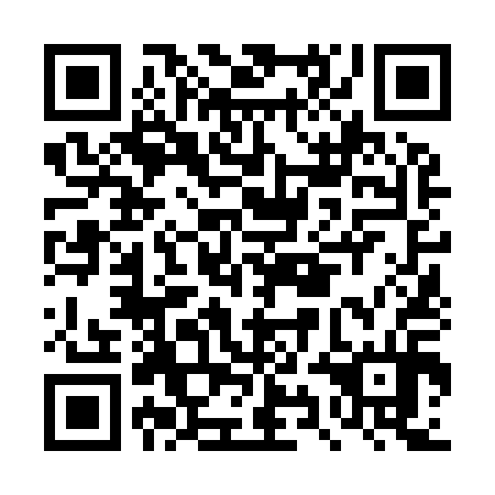 QR code for DYN 914