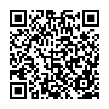 QR code for DYN 966