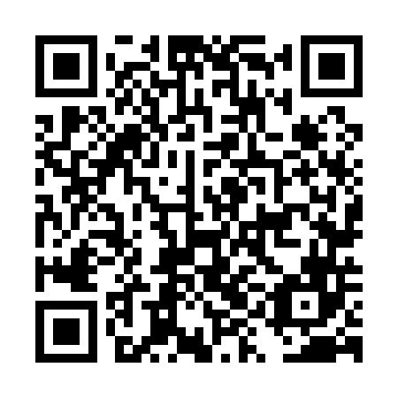 QR code for plate DYN 146