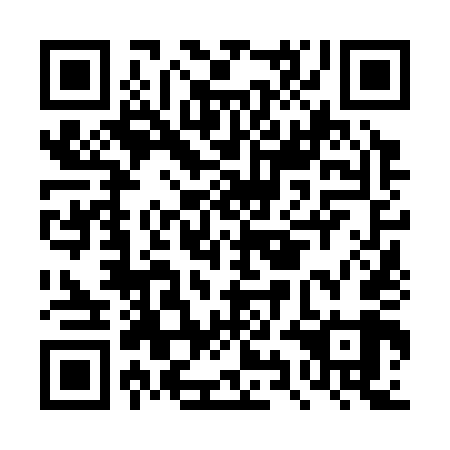 QR code for DYN349