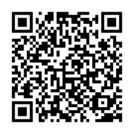 QR code for plate DYN 379