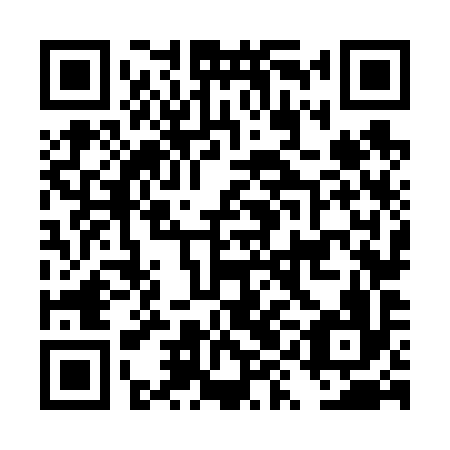 QR code for DYN696