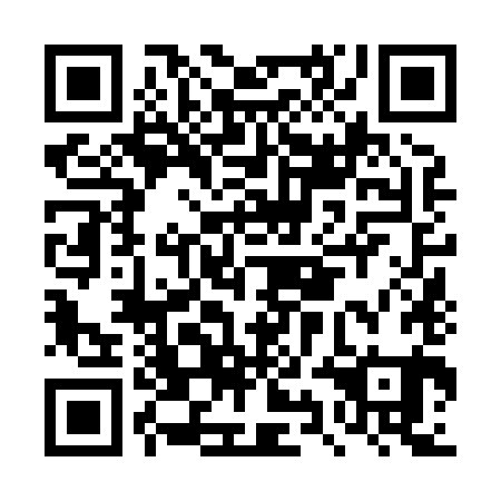 QR code for plate DYN 881