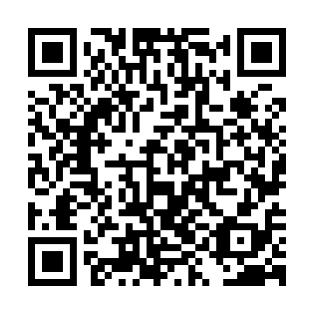 QR code for DYN918
