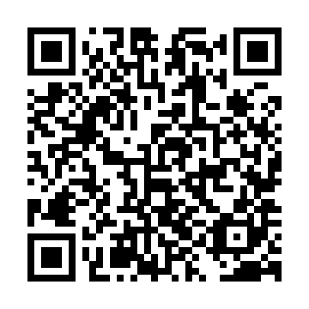 QR code for plate DYN 980