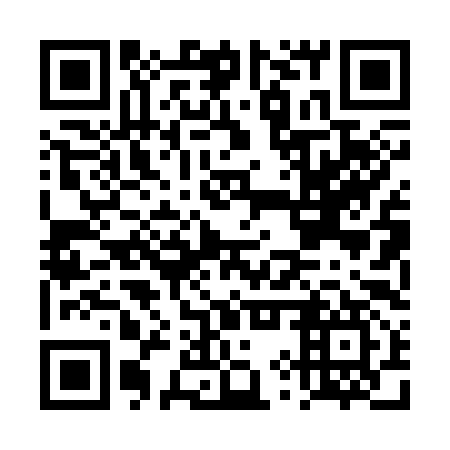 QR code for DYP 397