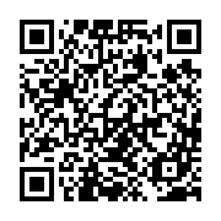 QR code for DYP 647
