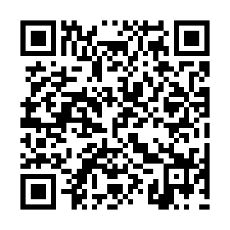QR code for DYP 739