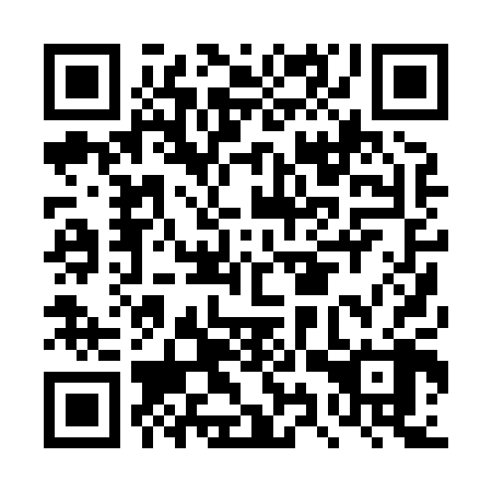 QR code for DYP 808