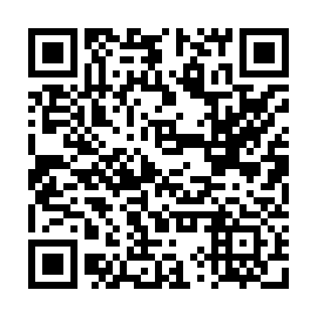 QR code for DYP 833