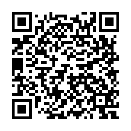 QR code for DYP 913