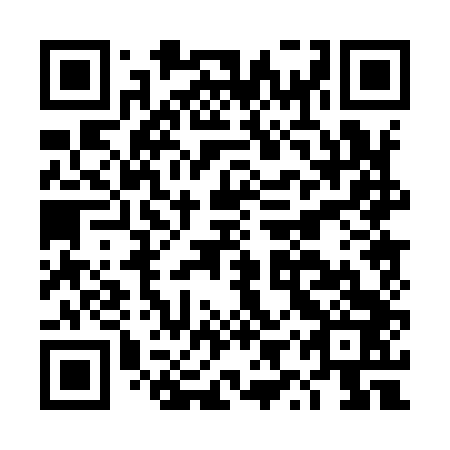 QR code for DYP 943