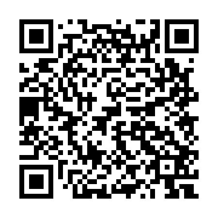 QR code for plate DYP 102