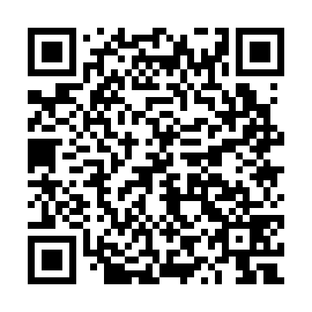 QR code for DYQ 379