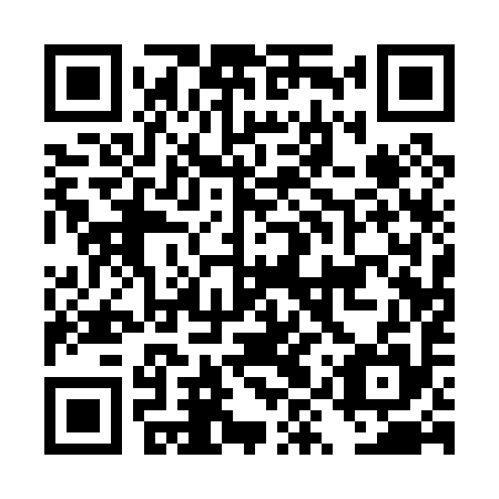 QR code for plate DYQ 095