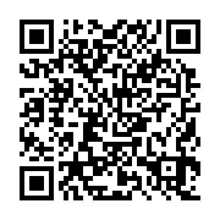 QR code for DYQ333
